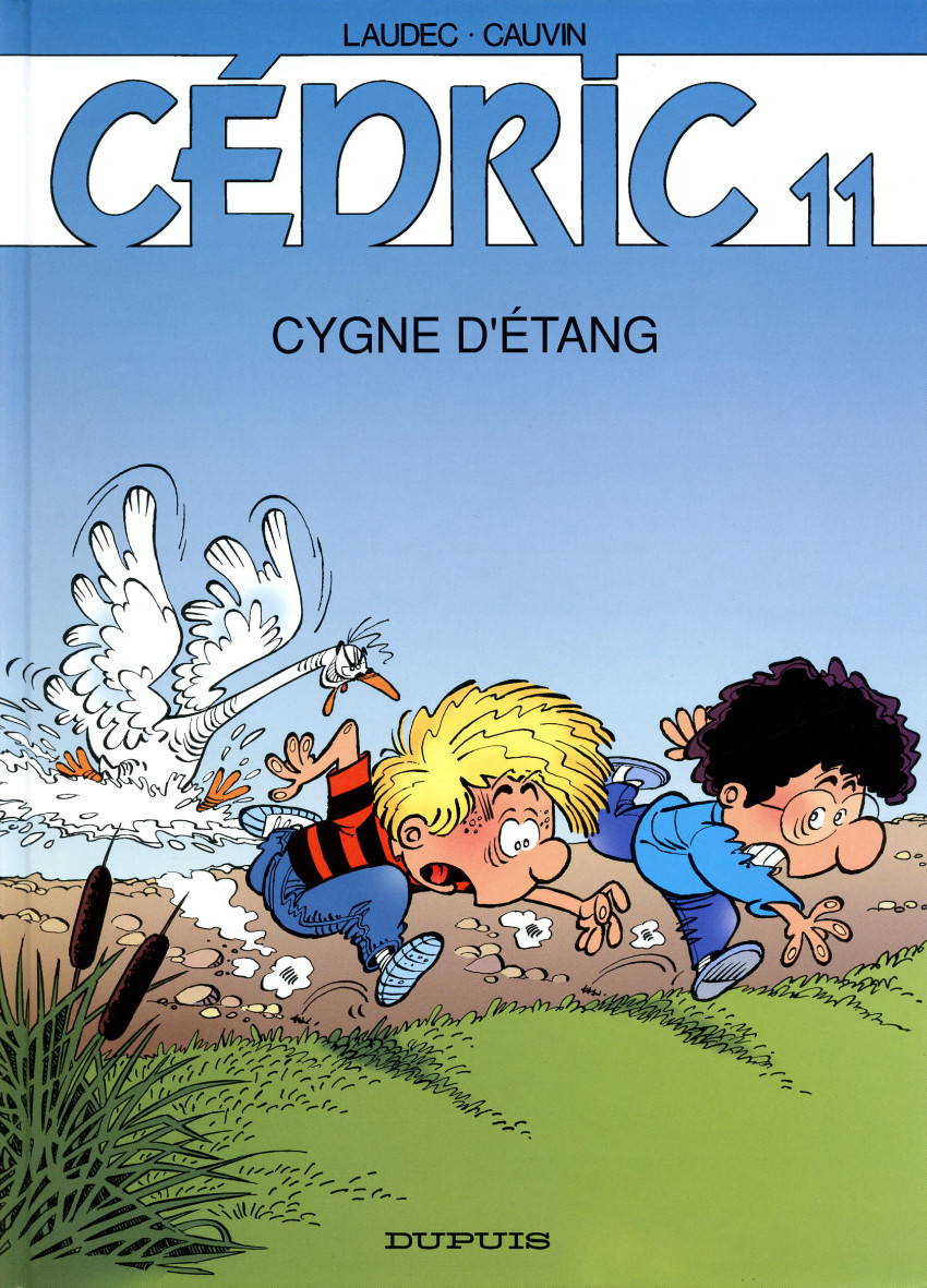 11. Cygne d&rsquo;étang