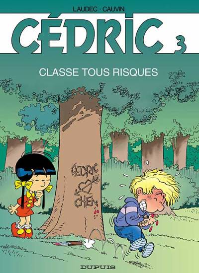 3. Classe tous risques